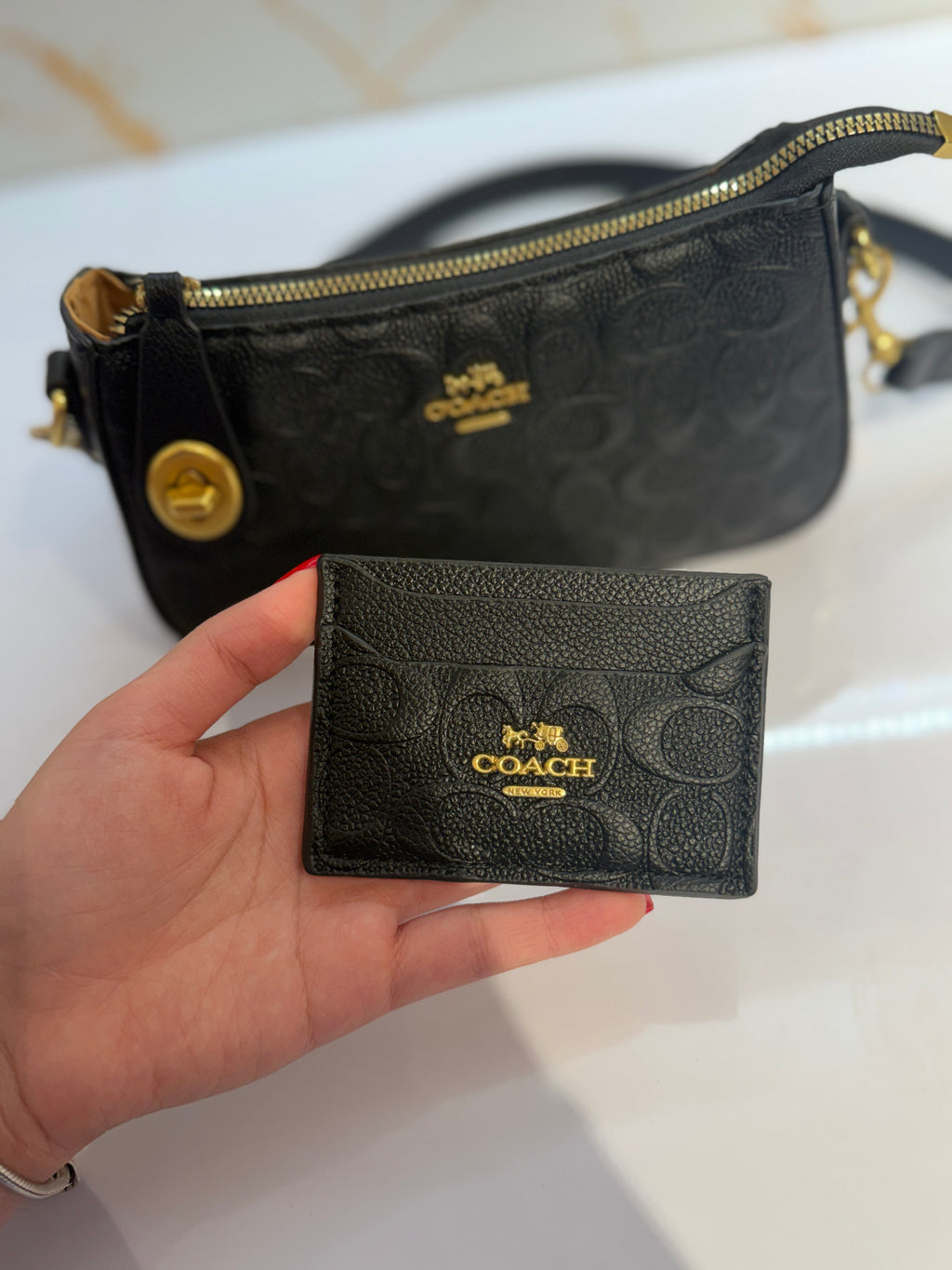 Set Cartera + Tarjetero