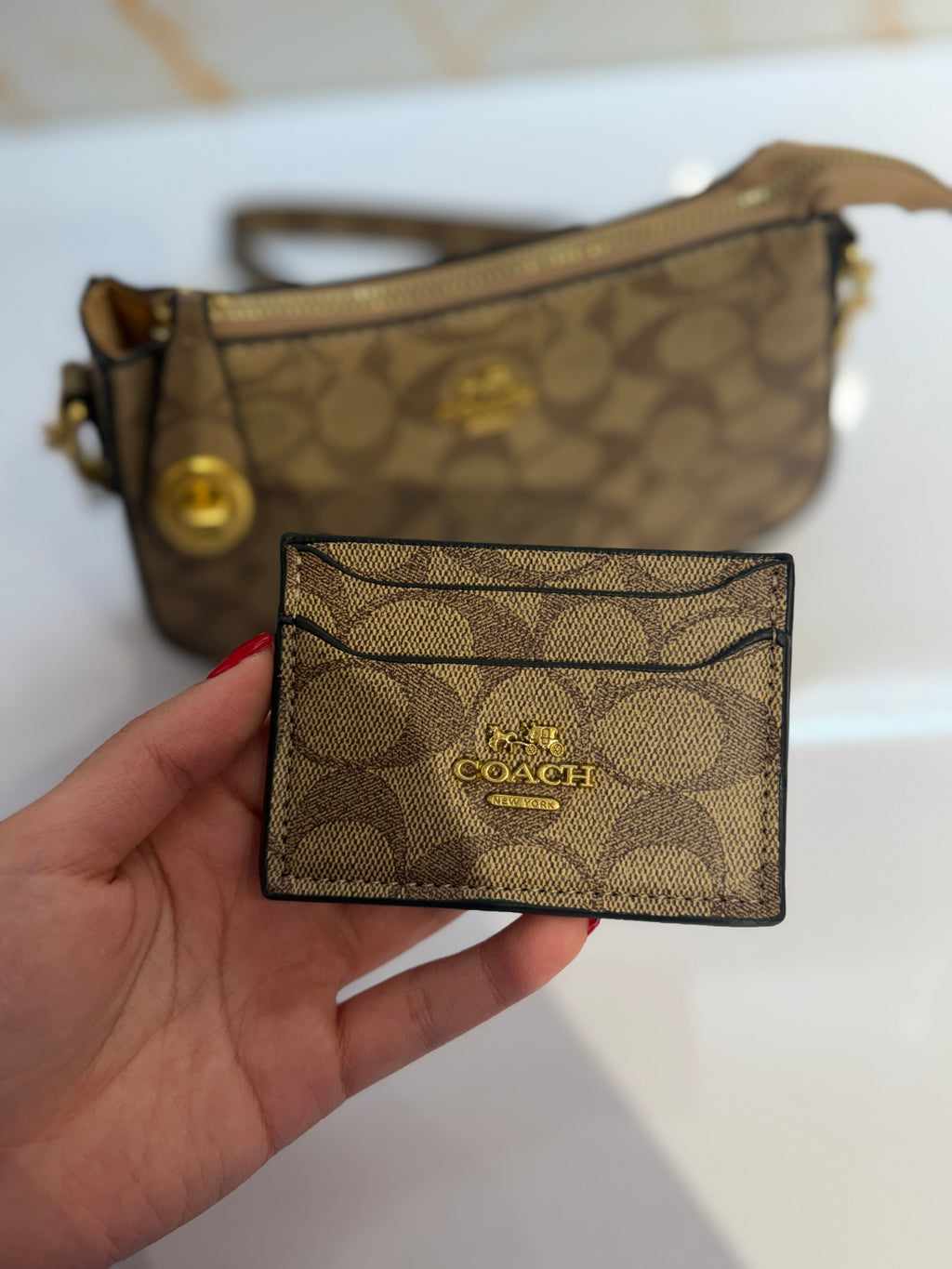 Set Cartera + Tarjetero