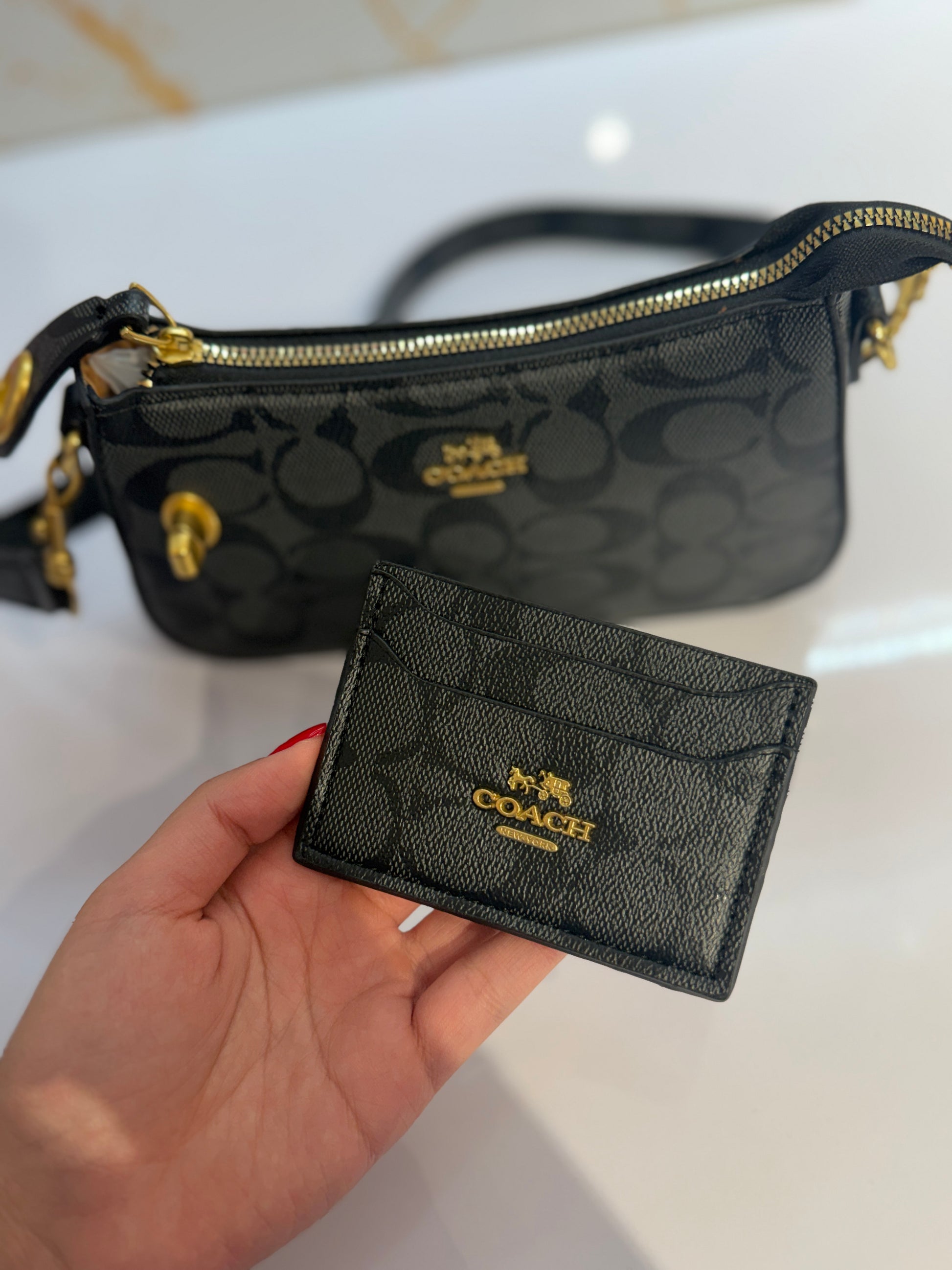 Set Cartera + Tarjetero